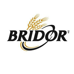 bridor-logo-template_300